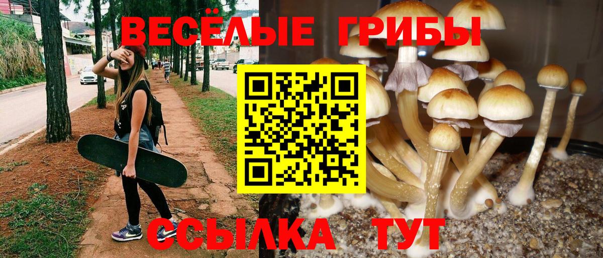 Кандалакша  хочу наркоту  Вход с VPN  Псилоцибиновые грибы прущие грибы 
